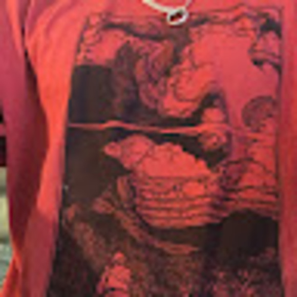 Meet your Posher, Christopher - Picture 1 of 1